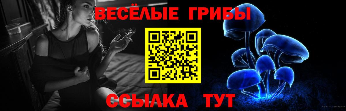Галлюциногенные грибы мицелий  Вход с VPN  Волжск 